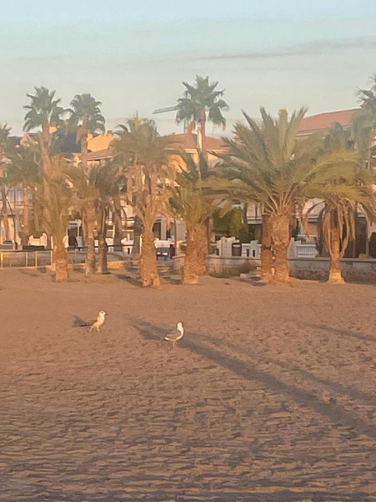 Vacaciones En Playa Del Tamarit Apartment Santa Pola